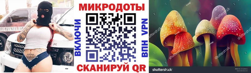 Купить где  Темников  Галлюциногенные грибы прущие грибы 